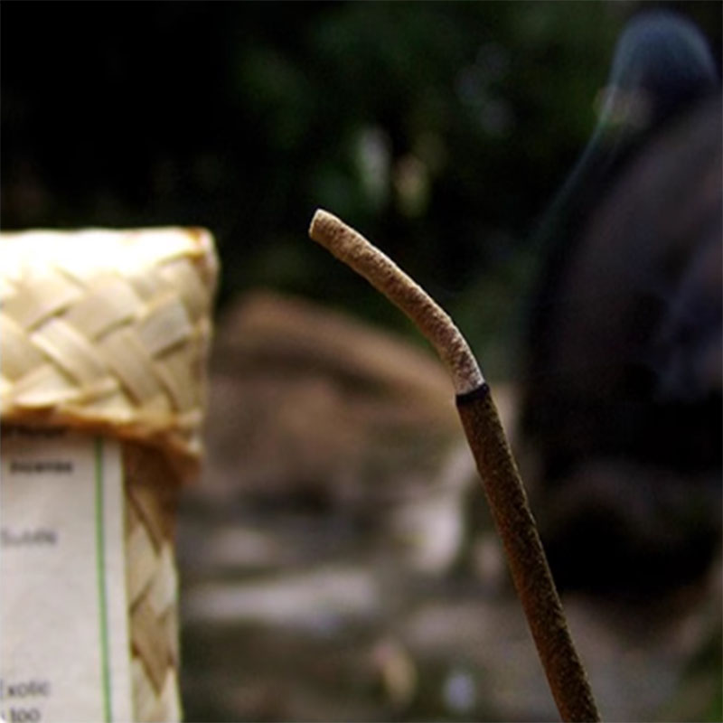 Log Plants Incense Sticks Mult - Home Fragrance Zen recension och pris