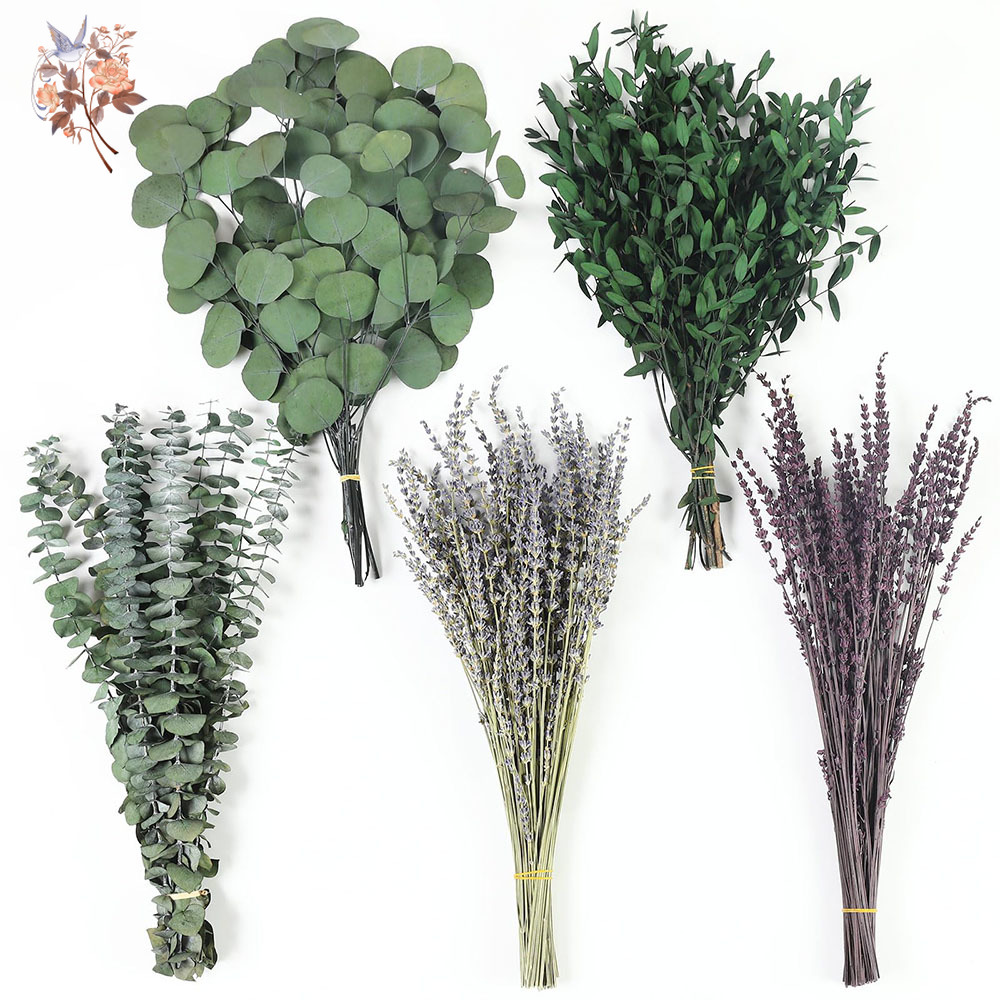 110Pcs Mix Dried Eucalyptus Le - Fragrance Your Home recension och pris