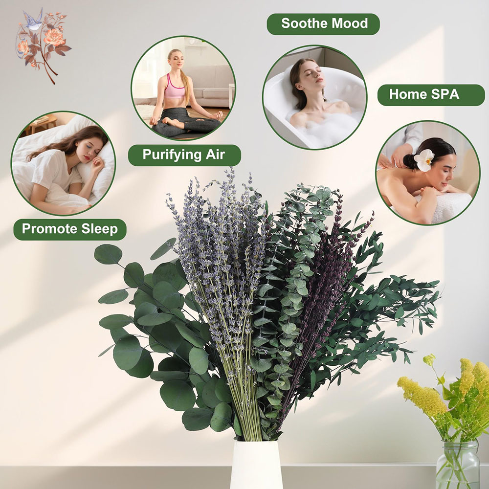 110Pcs Mix Dried Eucalyptus Le - Fragrance Your Home recension och pris