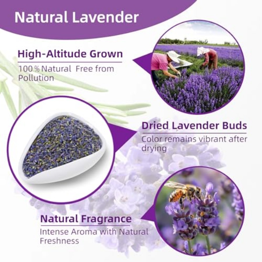 36 Pack Lavender Sachet Bags - - Home Fragrance French recension och pris