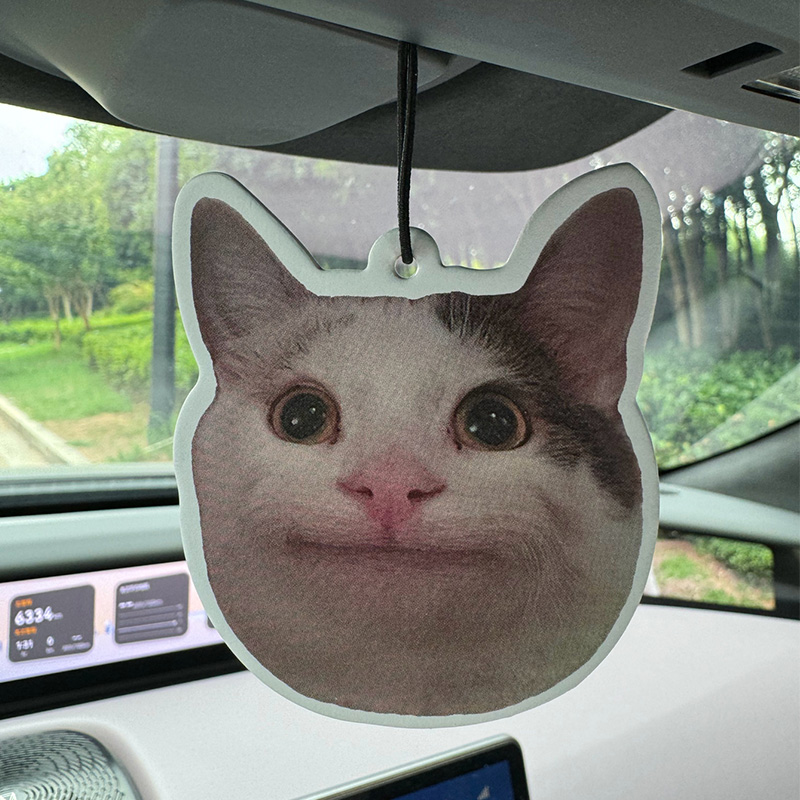 Sad Cat Emoticon Pack Hilton ( - Home Fragrance Luxury recension och pris