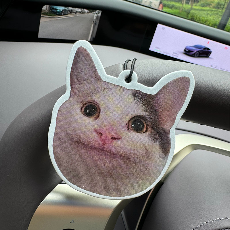 Sad Cat Emoticon Pack Hilton ( - Home Fragrance Luxury recension och pris